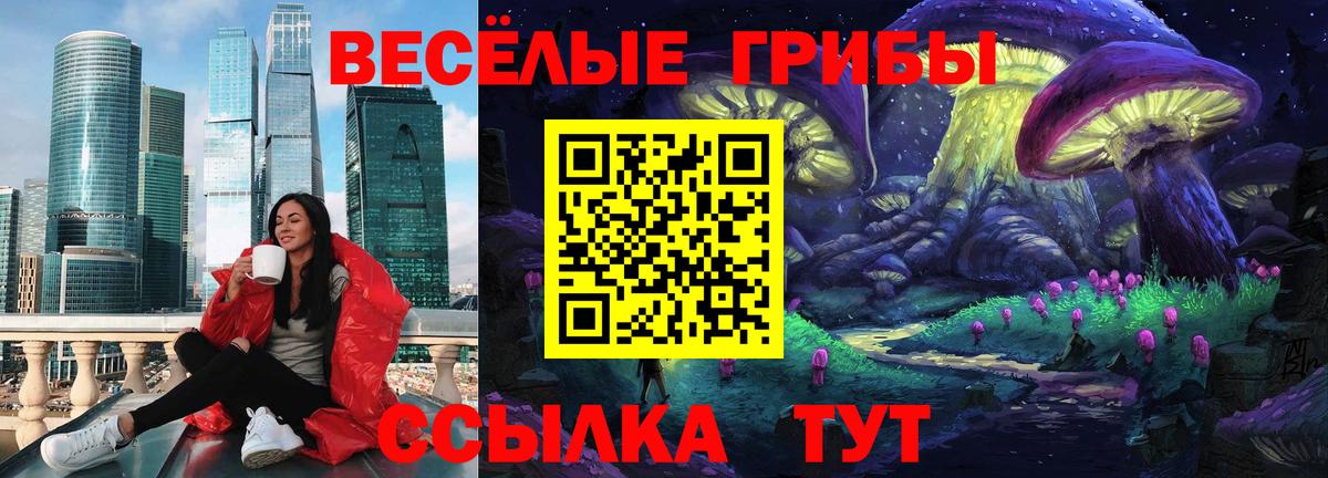 Галлюциногенные грибы мухоморы  магазин  наркотиков  Котлас  Вход с VPN 