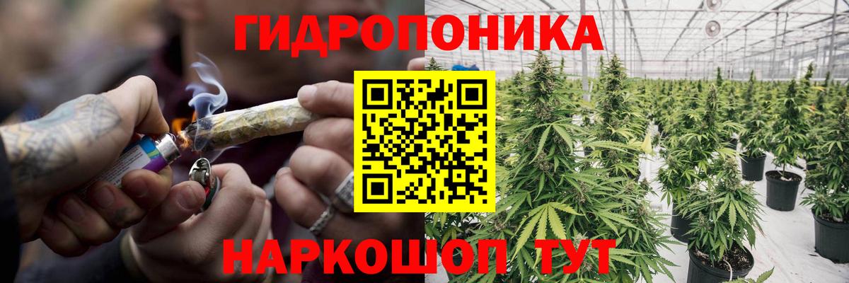 Котлас  Бошки Шишки ГИДРОПОН  Шишки марихуана тримм  Конопля THC 21%  Марихуана VHQ  Вход с VPN 